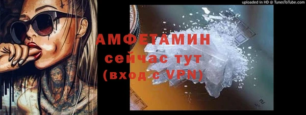 шишки Переславль-Залесский