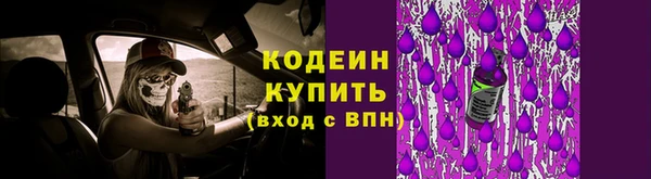 шишки Переславль-Залесский