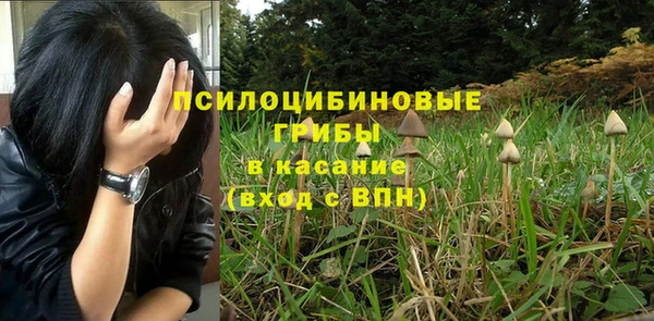 бутират Пересвет