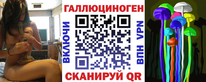 Галлюциногенные грибы Psilocybe  купить наркоту  Усолье 